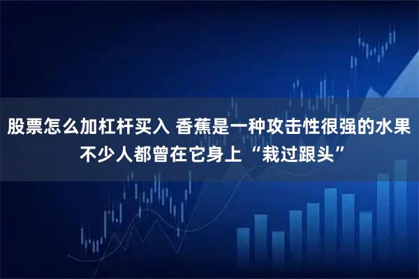 股票怎么加杠杆买入 香蕉是一种攻击性很强的水果 不少人都曾在它身上 “栽过跟头”