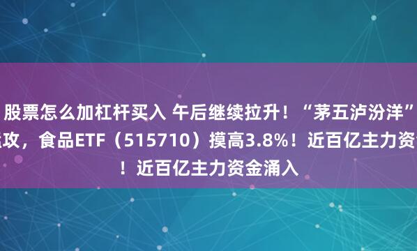 股票怎么加杠杆买入 午后继续拉升！“茅五泸汾洋”集体猛攻，食品ETF（515710）摸高3.8%！近百亿主力资金涌入