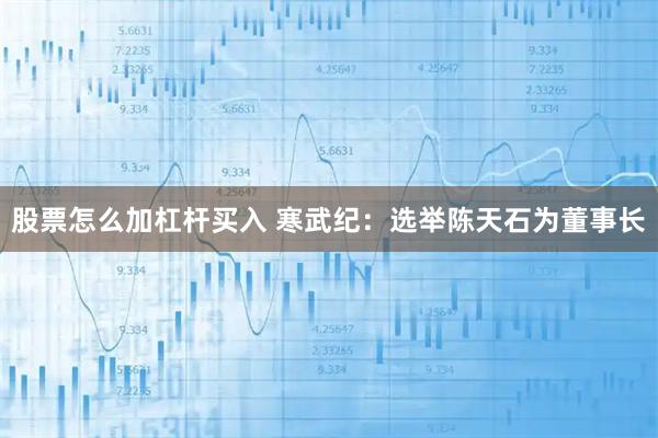 股票怎么加杠杆买入 寒武纪：选举陈天石为董事长