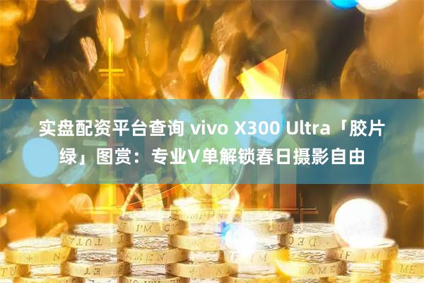 实盘配资平台查询 vivo X300 Ultra「胶片绿」图赏：专业V单解锁春日摄影自由